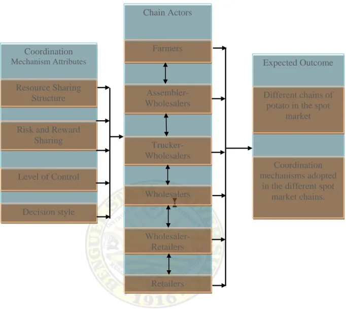 Figure 2. Conceptual frameworkCoordination 