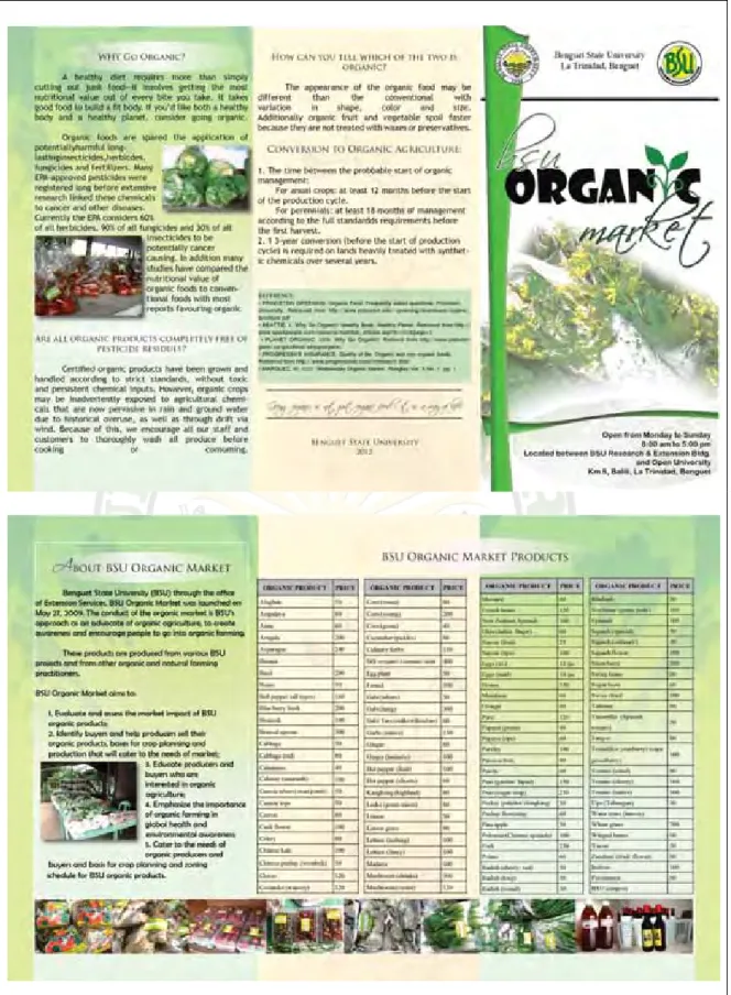 Figure 2. Pages (reduced form) of the first initial brochure 