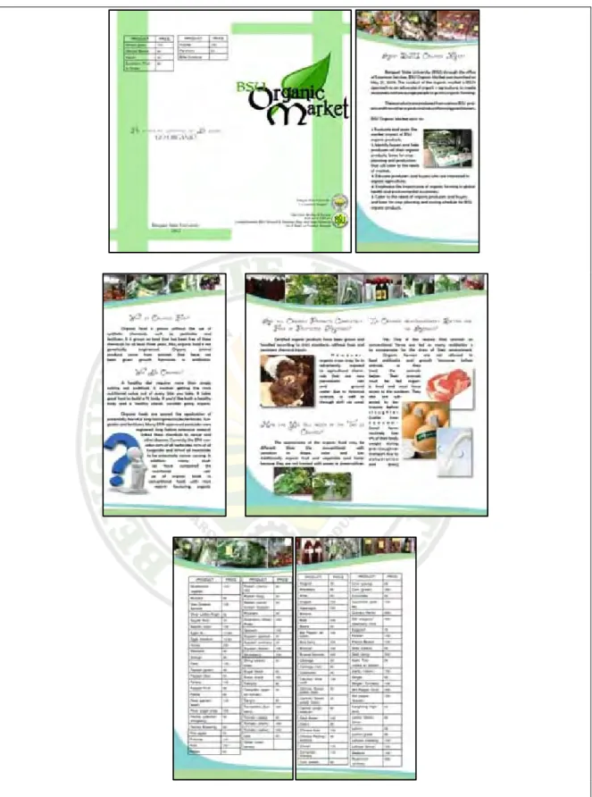 Figure 3. Pages (reduced form) of the second initial brochure 