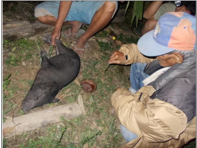 Figure 2. The piglet and tapuey were prepared in the ritual     