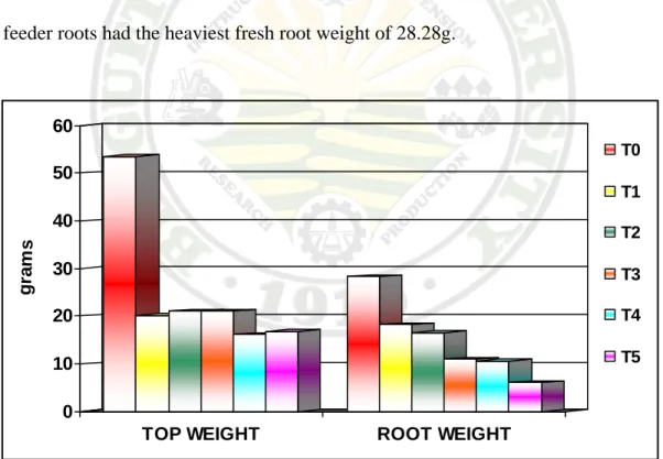 Figure 4.  Effect of varying levels of P. fragariae inoculum on the fresh weight of    strawberry  (Note: 0= uninoculated, 1= 2 x10 3  zoospore/ml, 2 = 5 x10 3     