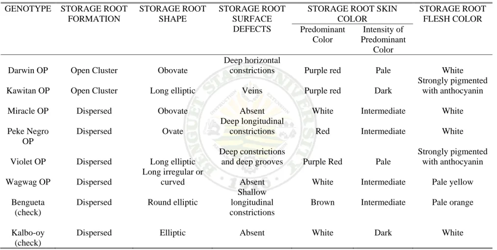 Table 5. Storage root characters of the eight sweetpotato genotypes  GENOTYPE STORAGE  ROOT 