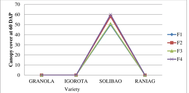 Figure 1. Interaction of potato varieties and Mokusaku rates on canopy cover at 60 DAP 0