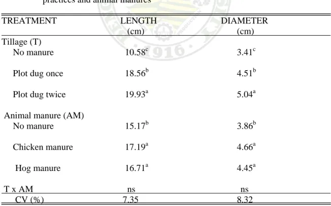 Table 4. Ear length and diameter of sweet corn planted in plots with different tillage  practices and animal manures 