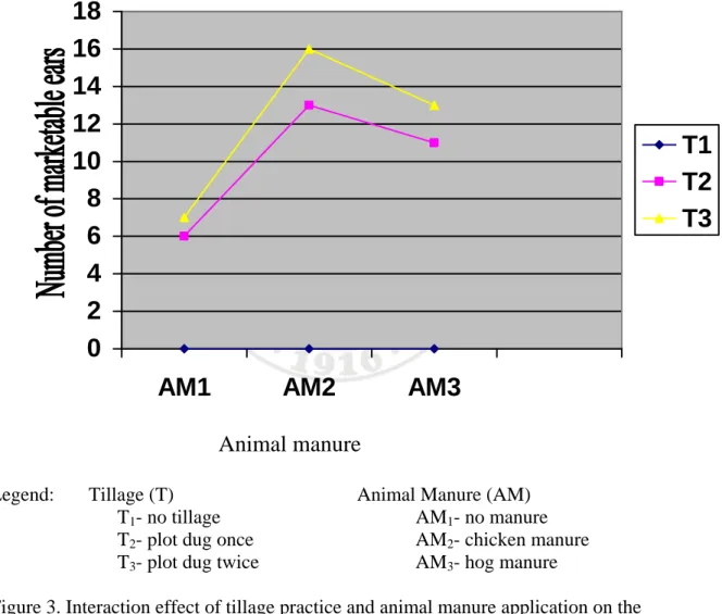 Figure 3. Interaction effect of tillage practice and animal manure application on the 