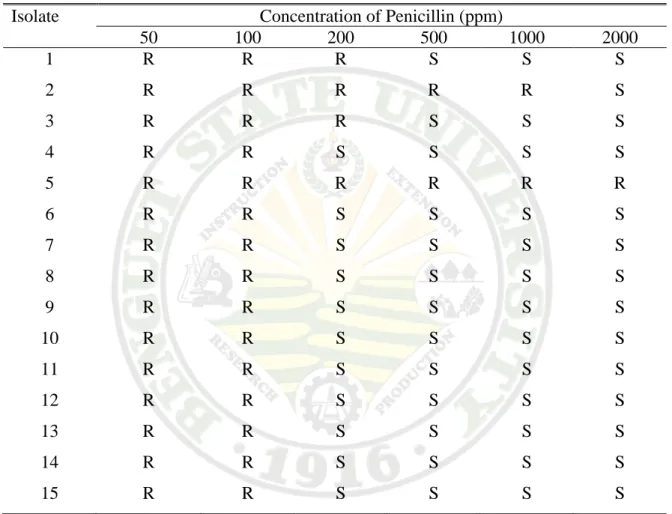 Table 3.1b.   Antibiotic sensitivity  of Xanthomonas axonopodis pv diffenbachiae isolates  to Penicillin 
