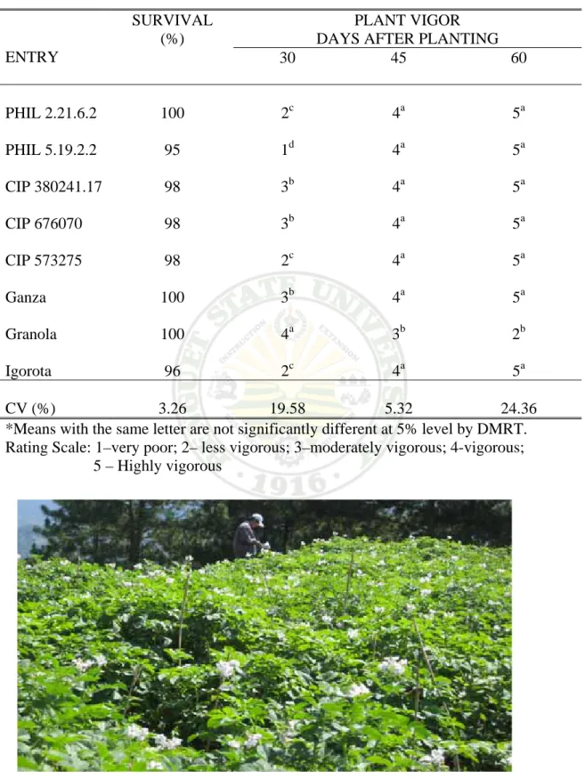Table 2. Percentage survival and plant vigor at 30, 45, and 60 DAP of  the  eight  potato                    entries grown at Loo, Buguias 