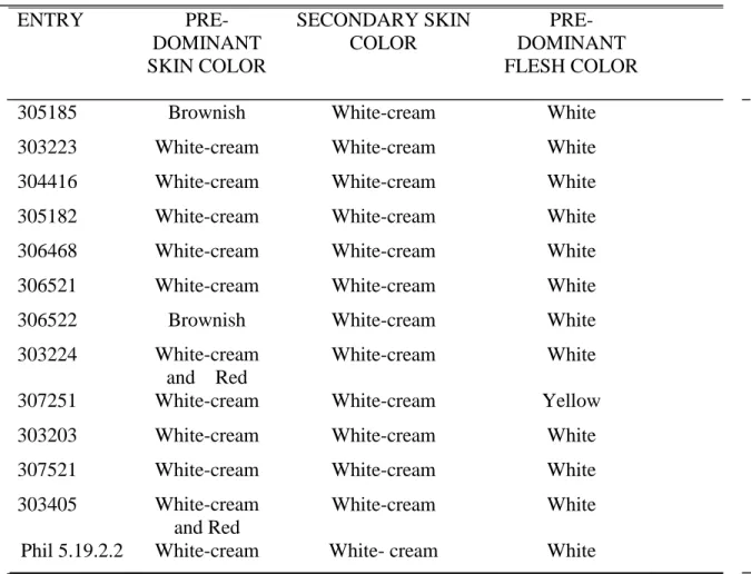 Table  2.  Pre-dominant  skin  color,  secondary  skin  color,  pre-dominant  flesh  color  and  secondary flesh color of the thirteen potato entries evaluated for organic production