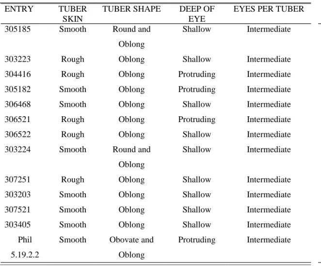 Table 3. Tuber skin type, tuber shape, depth of tuber eye and number of eyes per tuber of  the thirteen potato entries 