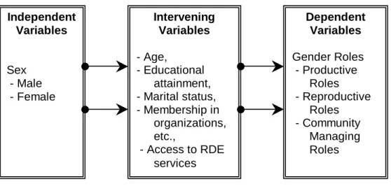 Figure 1.  The paradigm showing the relationship among the variables 