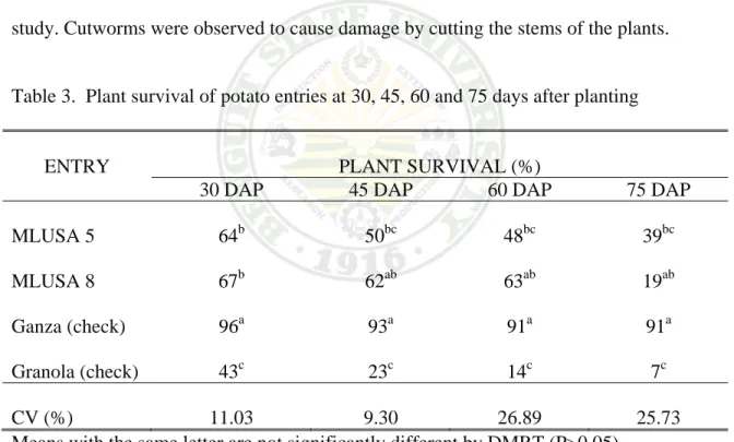 Table 3 shows the percent survival of the potato entries taken at 30, 45, 60 and 75  DAP