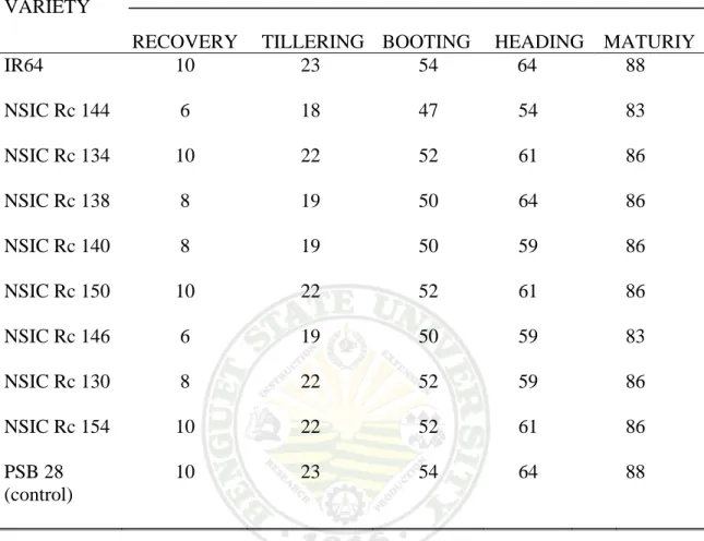 Table 2 also shows the number of days from transplanting to heading. NSIC Rc  144 was the earliest to produce heads with a mean of 54 days which was 1-7 days earlier  than the other varieties