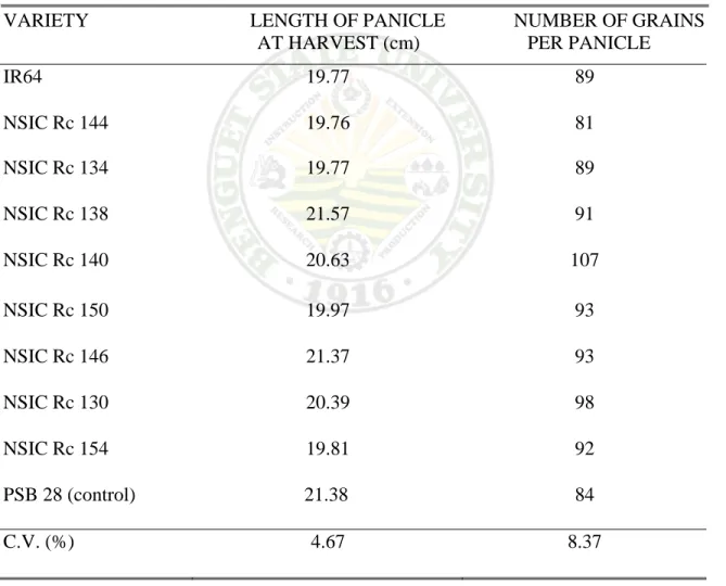 Table 4. Length of panicle at harvest and number of grains per panicle of ten high yielding  rice varieties 