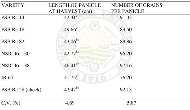 Table 6. Length of panicle at harvest and number of grains per panicle of seven rice  varieties 
