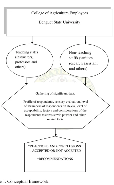 Figure 1. Conceptual framework 
