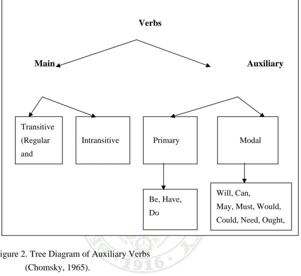 Figure 2. Tree Diagram of Auxiliary Verbs 