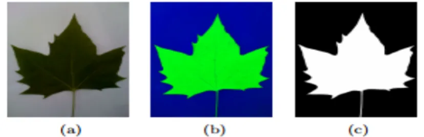 Figure 12: Expectation Maximization on a Leaf Sample Over The Saturation-Value Space
