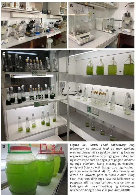 Figure 10.  Larval Food Laboratory. Ang  laboratory ng natural food ay may working  area na ginagamit sa pagku-culture ng likas na  organismong pagkain