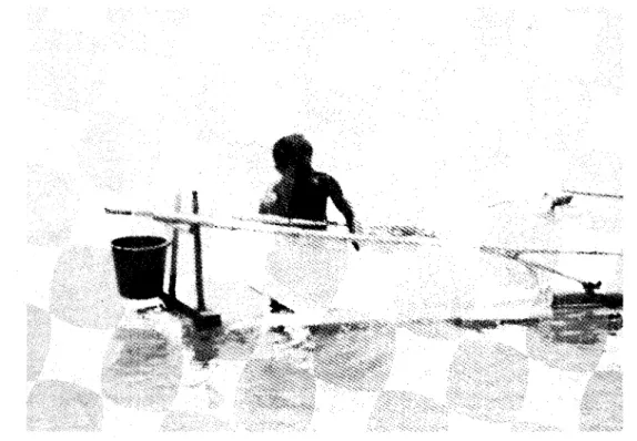 Fig.  2.1 1.  Fry are scooped from the net using a white  porcelain basin. 