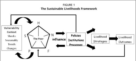 Figure 1 represents the most familiar livelihoods model developed for DFID.