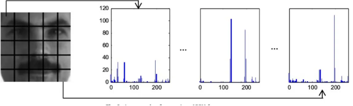 Figure 8: An example of spatially enhanced histogram construction.