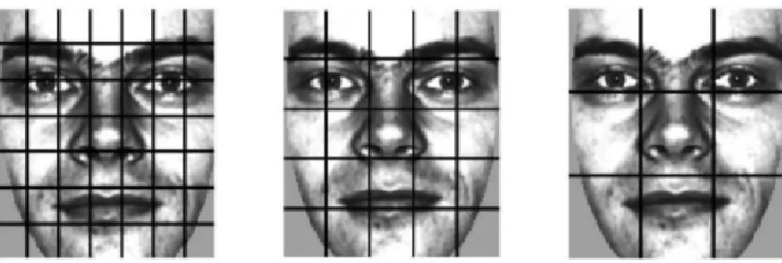 Figure 7: A face image divided into 7x7, 5x5 and 3x3 rectagular regions.