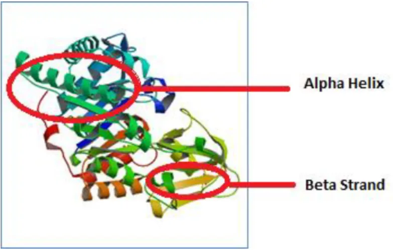 Figure 11. 3D representation of 3fxyclassified as mainly beta and belong to the roll  architecture based on CATH 