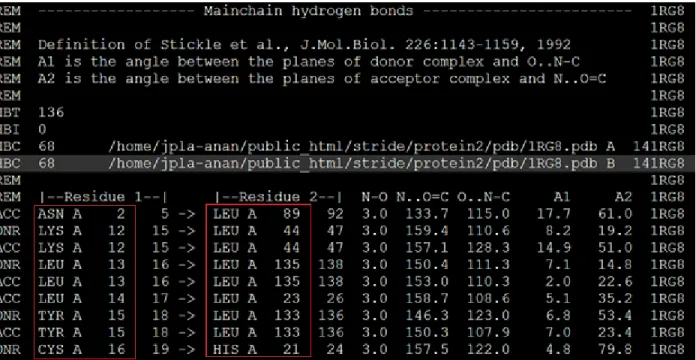 Figure 47 shows the ASG information of 1RG8 from its STRIDE Output file 