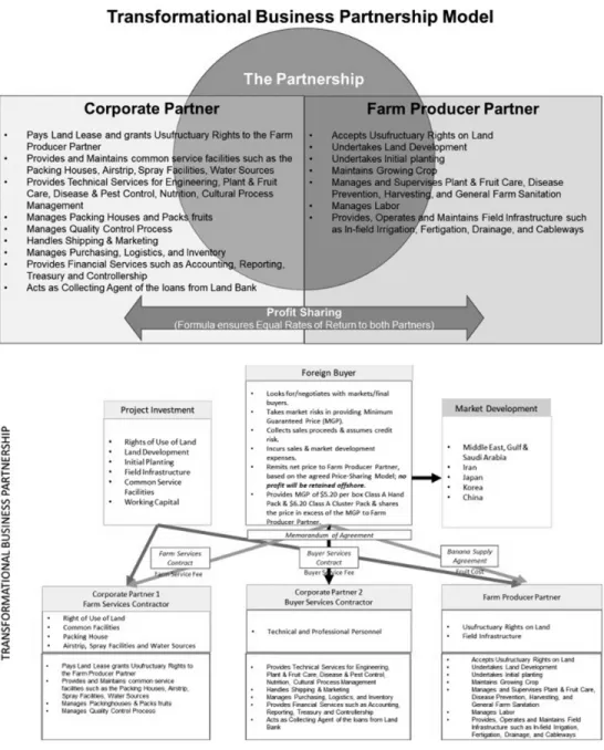 FIGURE 6 • The Transformational Business Partnership Model (for bananas)  (Source: UGP, see Annex 1a for details)