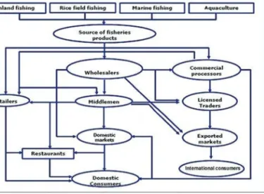 Figure 4. Supply chain of fish and fishery products  of Cambodia (FiA, 2017)