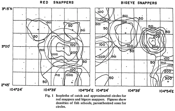 Fig. 2  Spatial  arrangement  of  circular  fish  schools  of  red snappers and bigeye snappers.