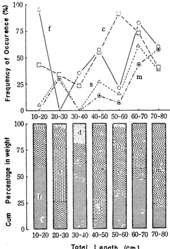 Fig.  2  Relative  importance  of main  food  categories in  L.  sebae  by  size  groups  as  expressed  by  fre­