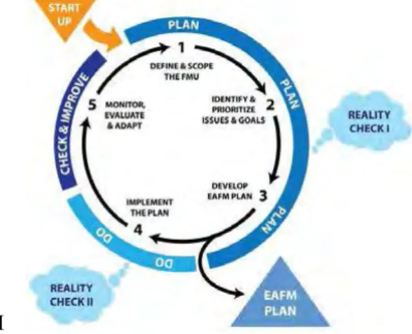 Figure 2: The 5 steps of an EAFM 