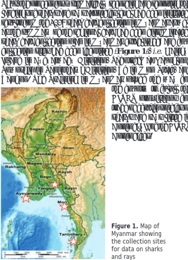Figure 1. Map of  Myanmar showing  the collection sites  for data on sharks  and rays