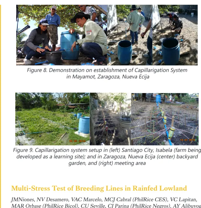 Figure 9. Capillarigation system setup in (left) Santiago City, Isabela (farm being  developed as a learning site); and in Zaragoza, Nueva Ecija (center) backyard 