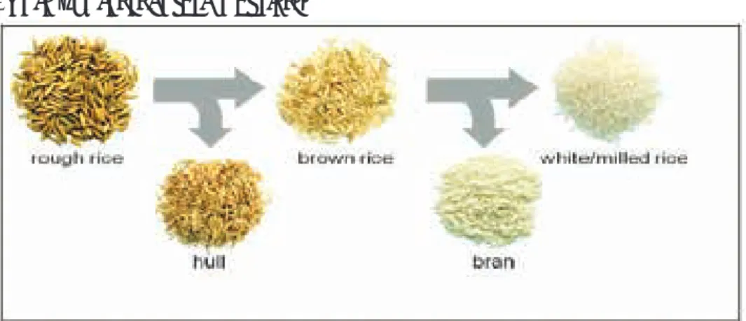 Figure 2. Different forms of rice.