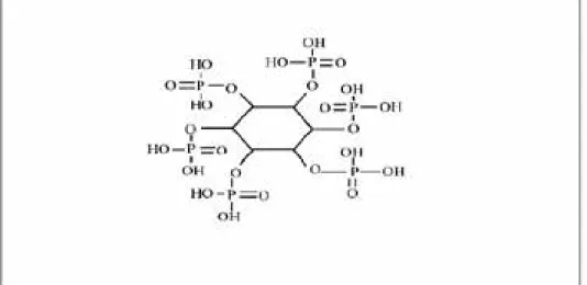 Figure 5. Structure of phytic acid (adapted from Coulibaly, et al., 2011).
