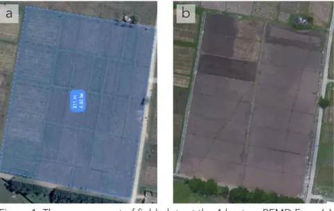 Figure 1. The arrangement of field plots at the 4-hectare REMD Farm (a) before and (b) after the execution of  land consolidation.