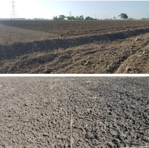Figure 3. Establishing field bunds at the REMD farm.