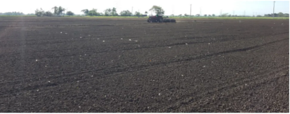 Figure 7. Laser-leveled field.
