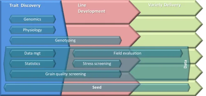 Figure 3. A simplified overview of the variety development workflow from design through development   to delivery (Manigbas et al, 2020).