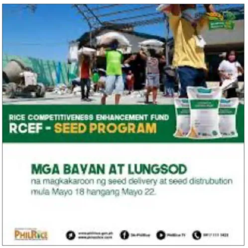 Figure 5.  Workers distribute high-quality certified seeds under RCEF seed program (courtesy of PhilRice photobank).