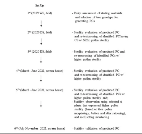Figure 1. Purity and stability process of A and B line of PR35742.  PC - pair crosses;  