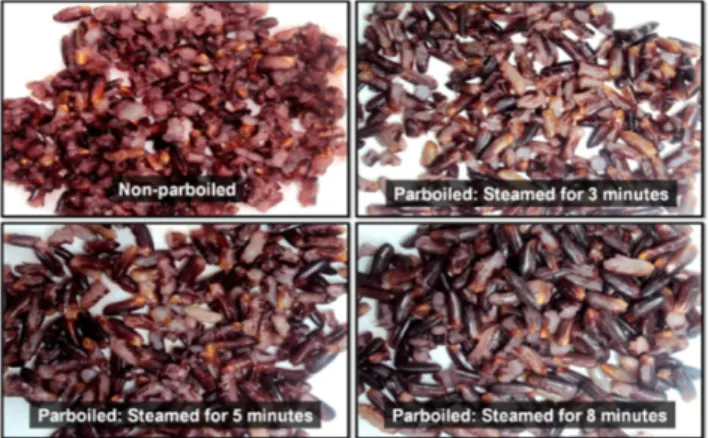 Figure 2. Colors of the Control or non-parboiled samples and parboiled  black rice samples steamed for 3, 5, and 8 min.