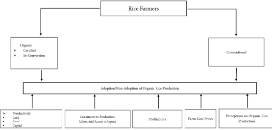 Figure 1.  Framework of analysis for the adoption and non-adoption of organic rice production¬ in selected provinces in the Philippines.