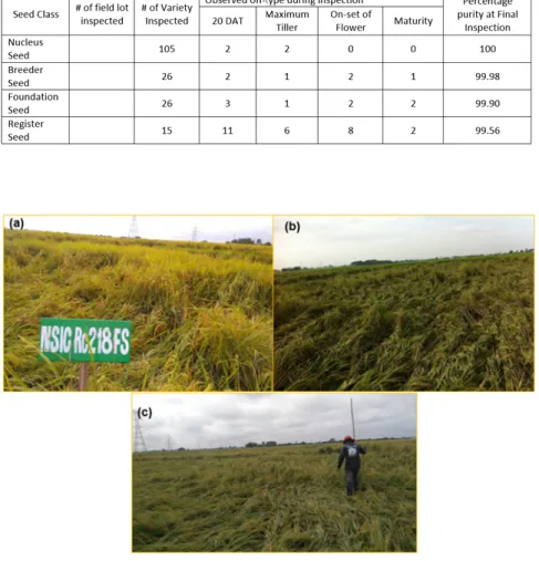 Table 2. Field purity evaluation of varieties seed produced by BDO and  PBBD at different seed classes during 2016 WS inspection.