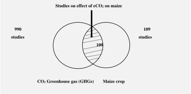Fig.  1.3  Numbers  of  studies  on  eCO2  on  plants  and  on  maize  between  (1991–2020)  according to the Web of Science