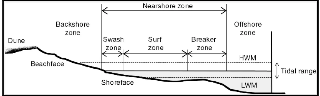 Figure 2  A cross-sectional profile of key features in a beach system  Source:(Hamylton, 2017) 