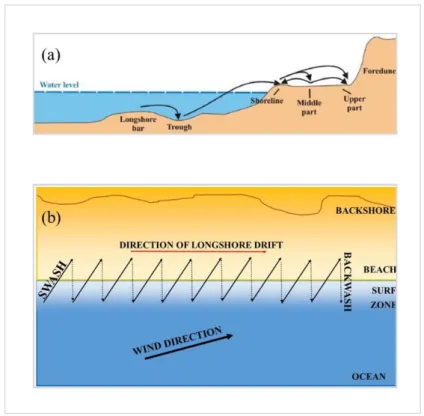 Figure 3 (a) Cross-shore sediment movement, Source:(Kovaleva et al., 2016) (b) Longshore  sediment drift 