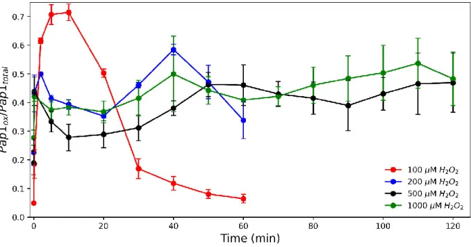 Figure 2.12: Comparison of the Pap1 oxidation profiles after treatment with 100, 200 500,  and 1000 µM of hydrogen peroxide